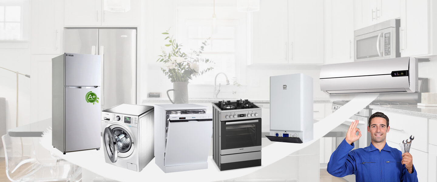 Lüleburgaz Smeg Servisi